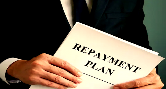 Loan Repayment Strategies for Entrepreneurs